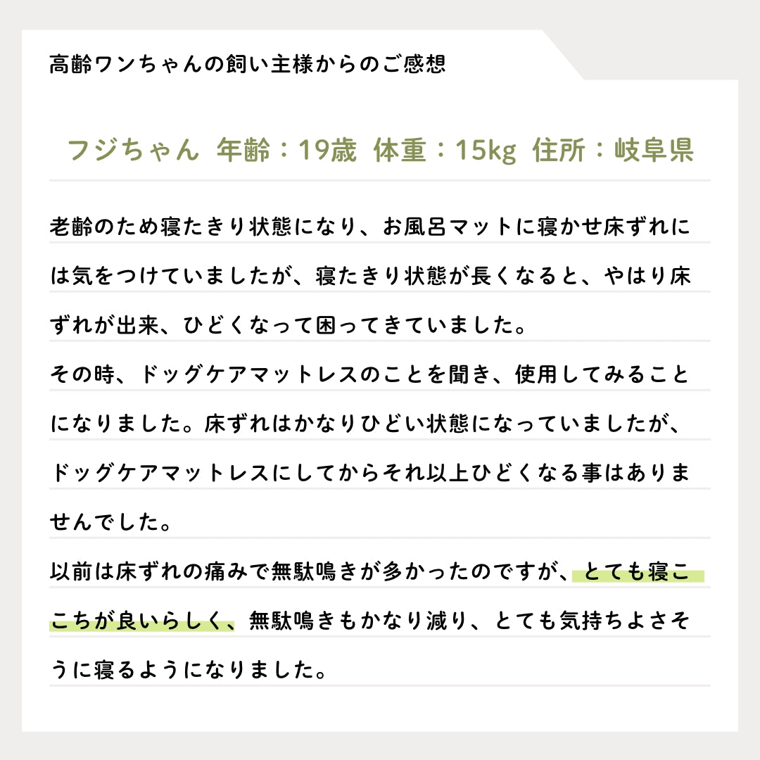 ドッグケア防水マットレス3Lサイズ