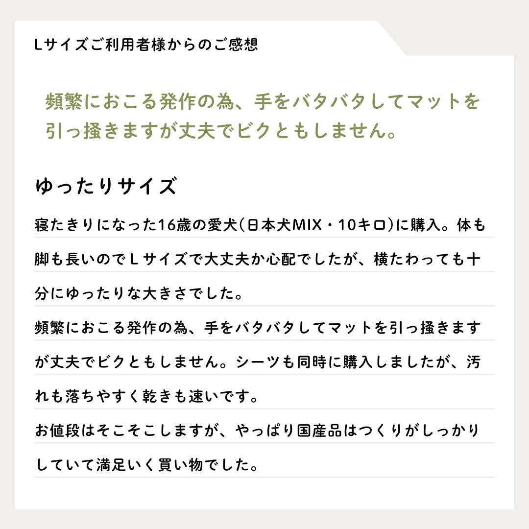 ドッグケア防水マットレス3Lサイズ
