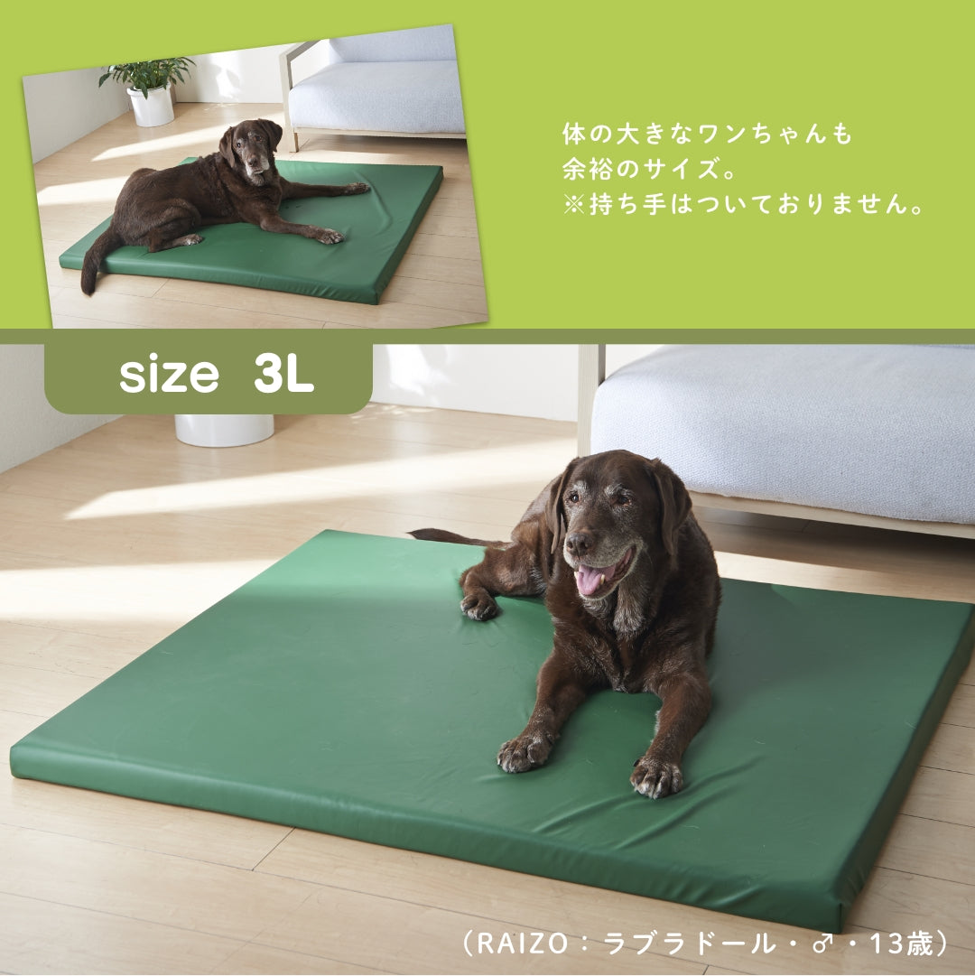 ドッグケア防水マットレス3Lサイズ