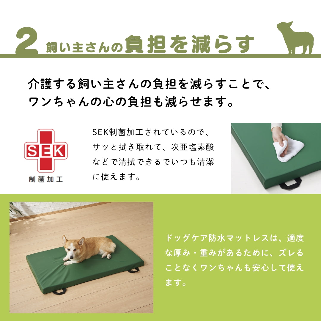 ドッグケア防水マットレス3Lサイズ
