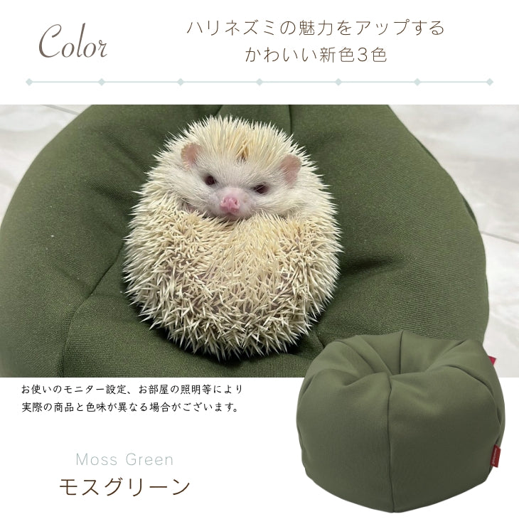 ハリネズミをダメにするクッション
