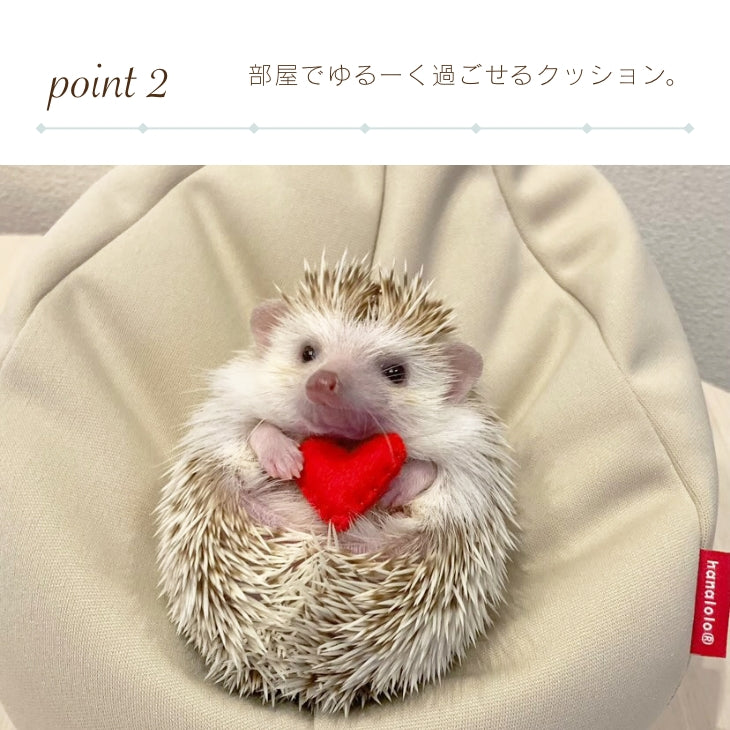 ハリネズミをダメにするクッション