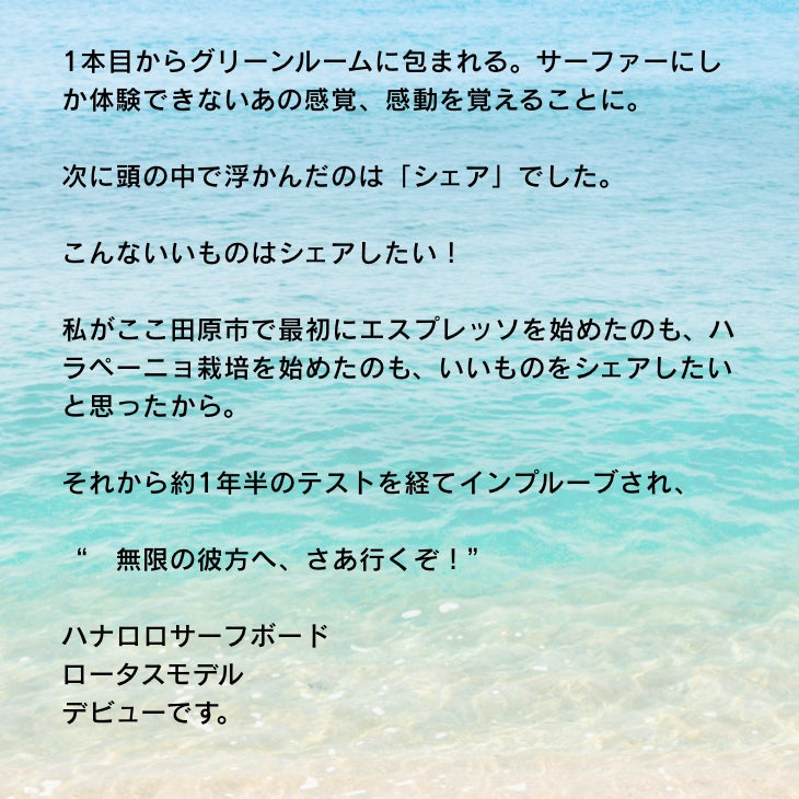 SDBs サーフボード