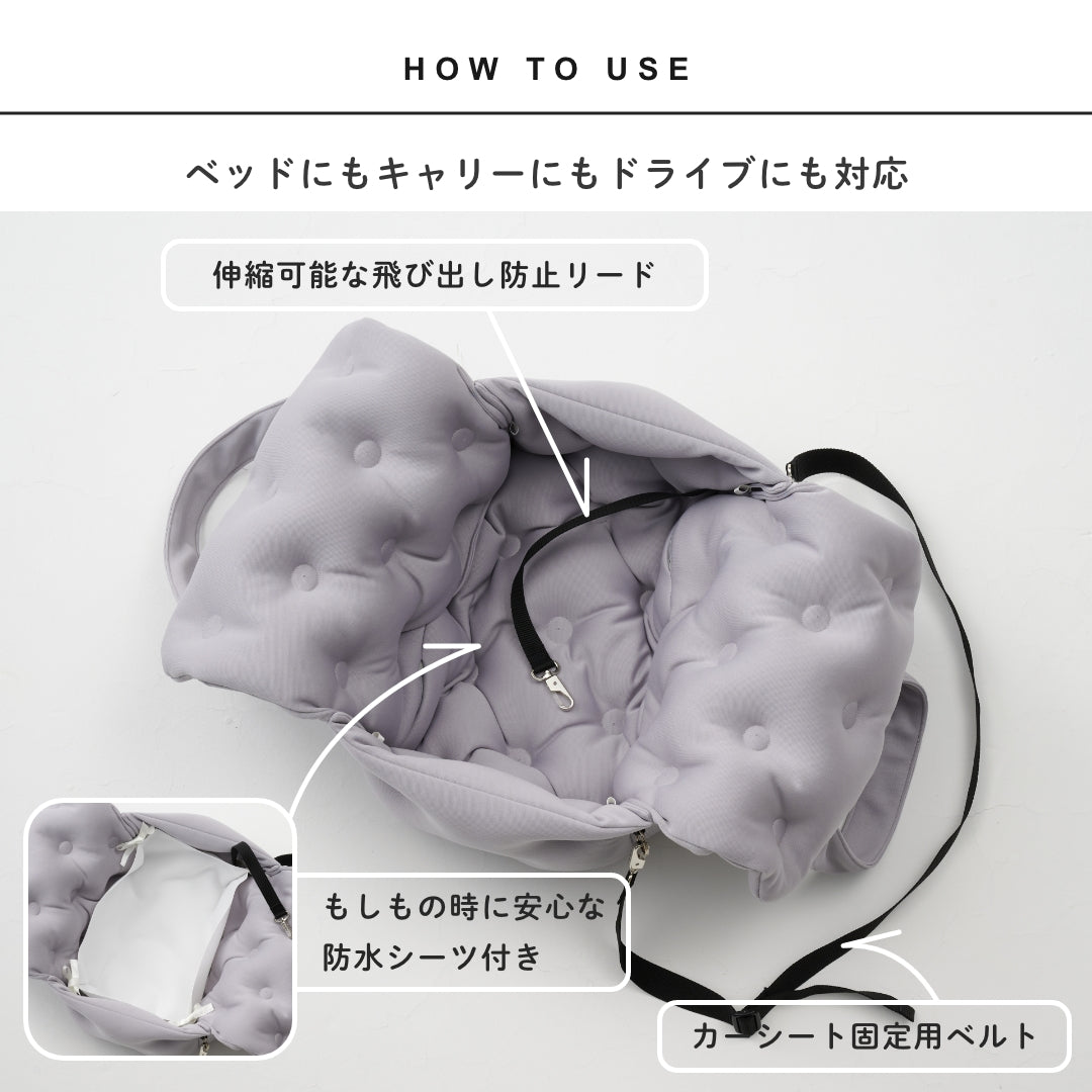 キャリーベット