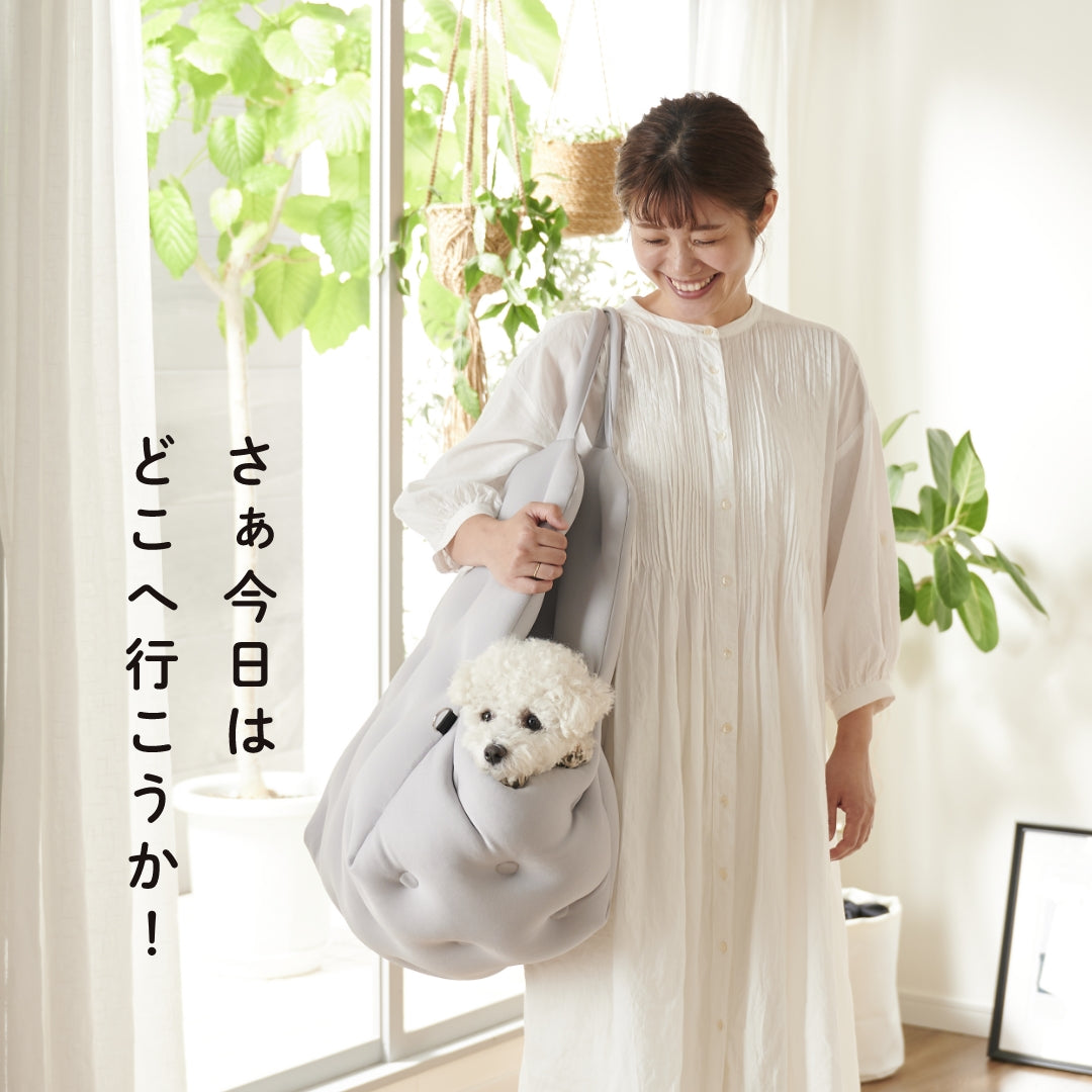 キャリーベット
