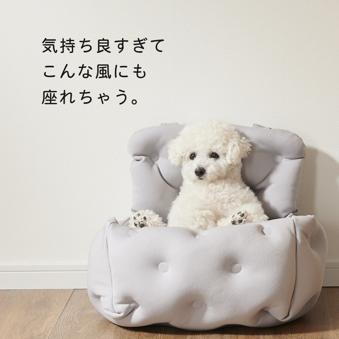 キャリーベット