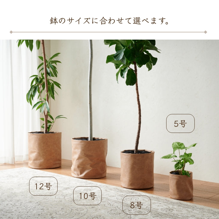 アンティークレザー プラントカバー5号