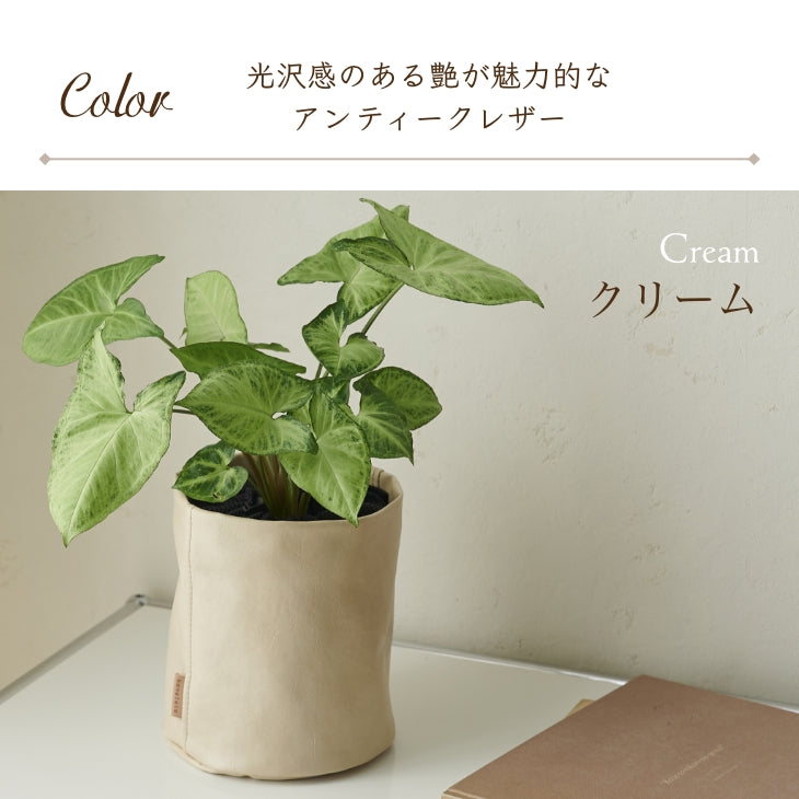 アンティークレザー プラントカバー5号