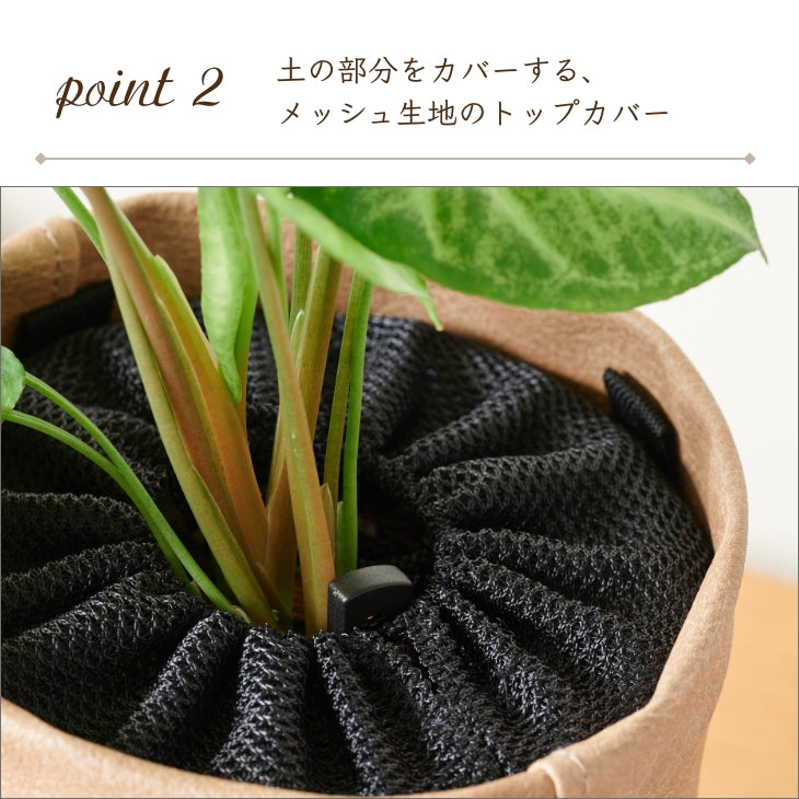 アンティークレザー プラントカバー10号
