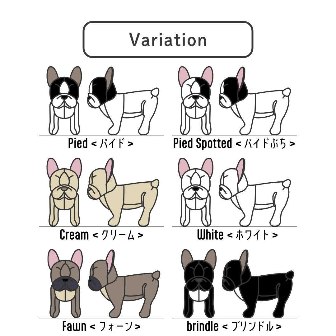 愛犬ぬいぐるみ「french bulldog」