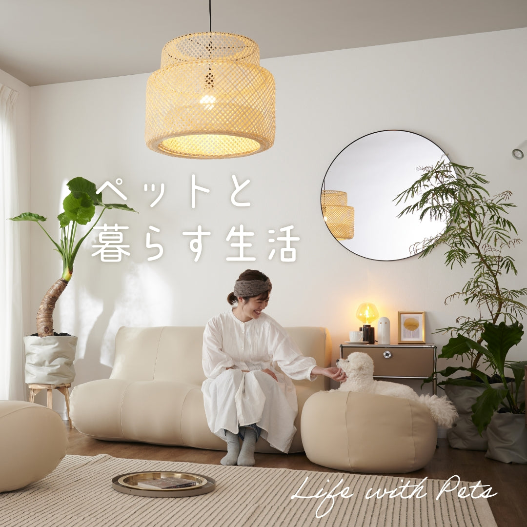 愛犬ぬいぐるみ「french bulldog」