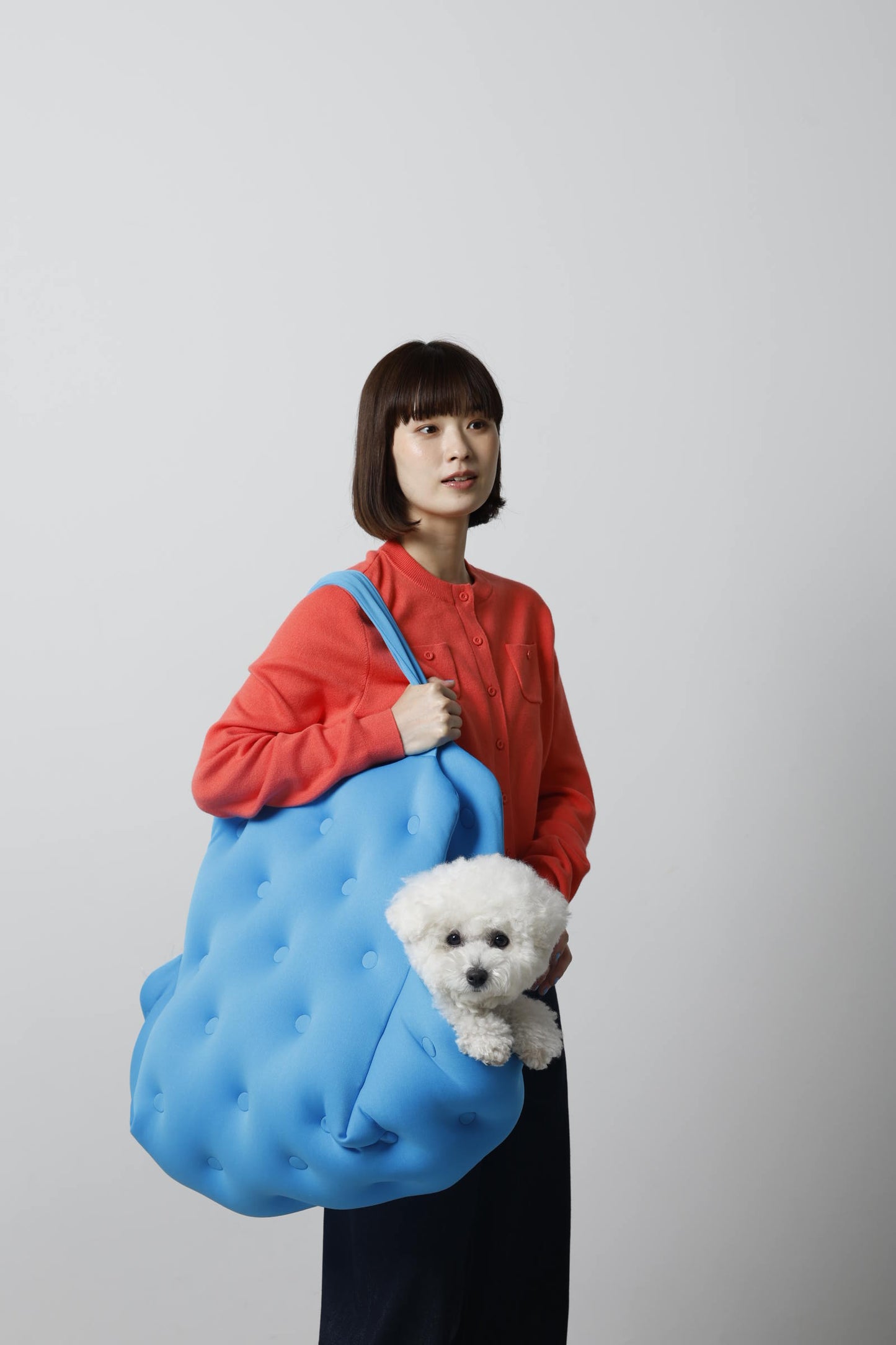 phasefree キャリー＆ベッド ビビット