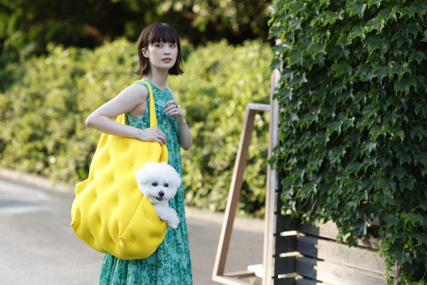 phasefree キャリー＆ベッド ビビット