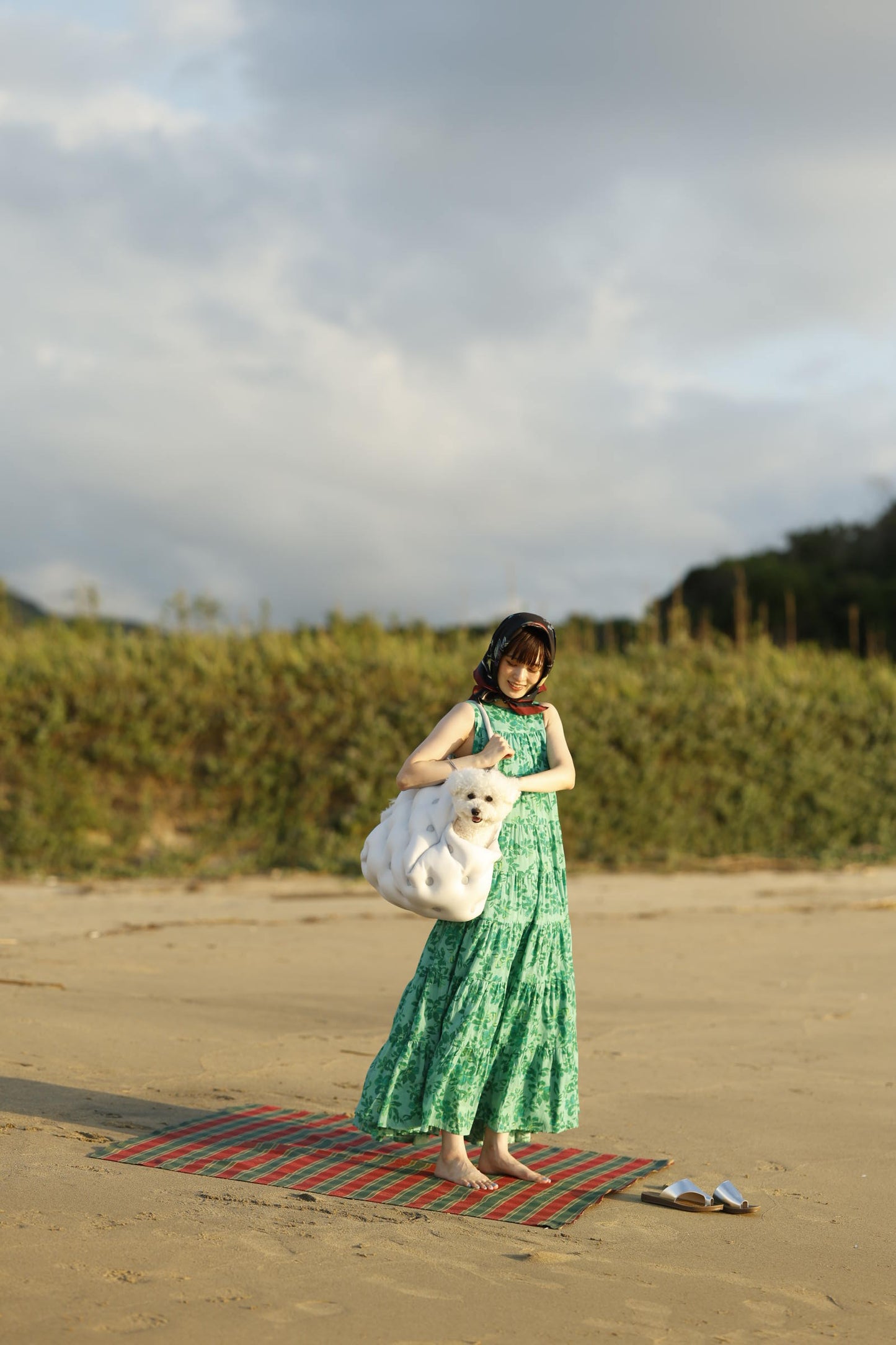 phasefree Wラッセルキャリー＆ベッド