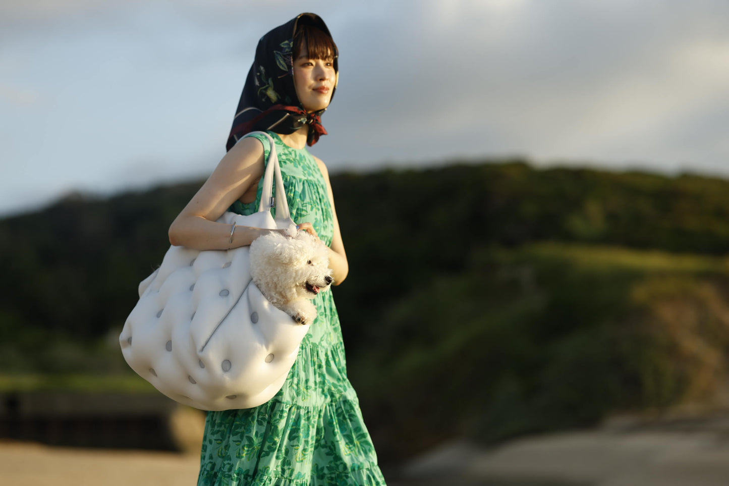 phasefree Wラッセルキャリー＆ベッド