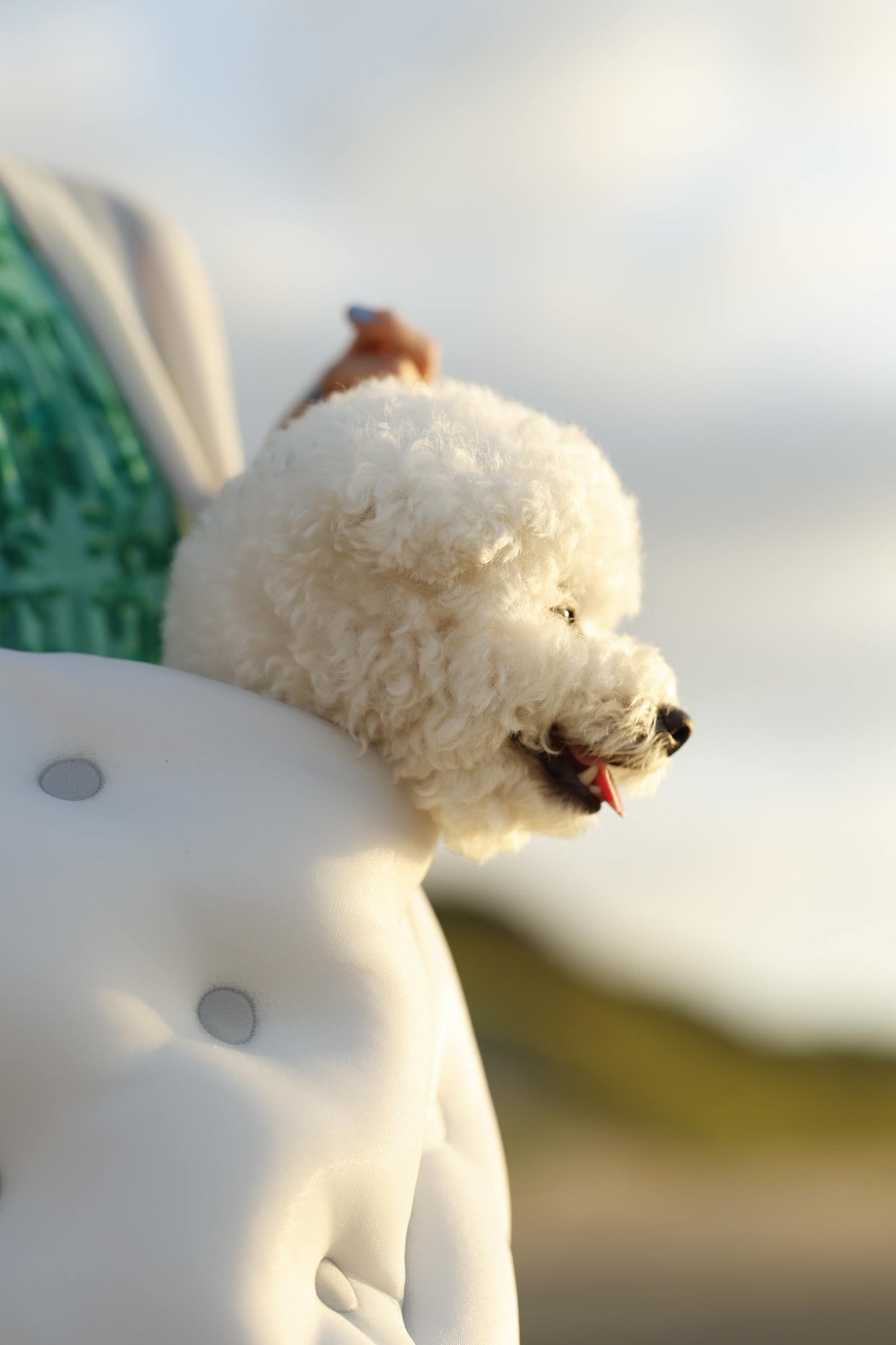 phasefree Wラッセルスリング＆ベッド