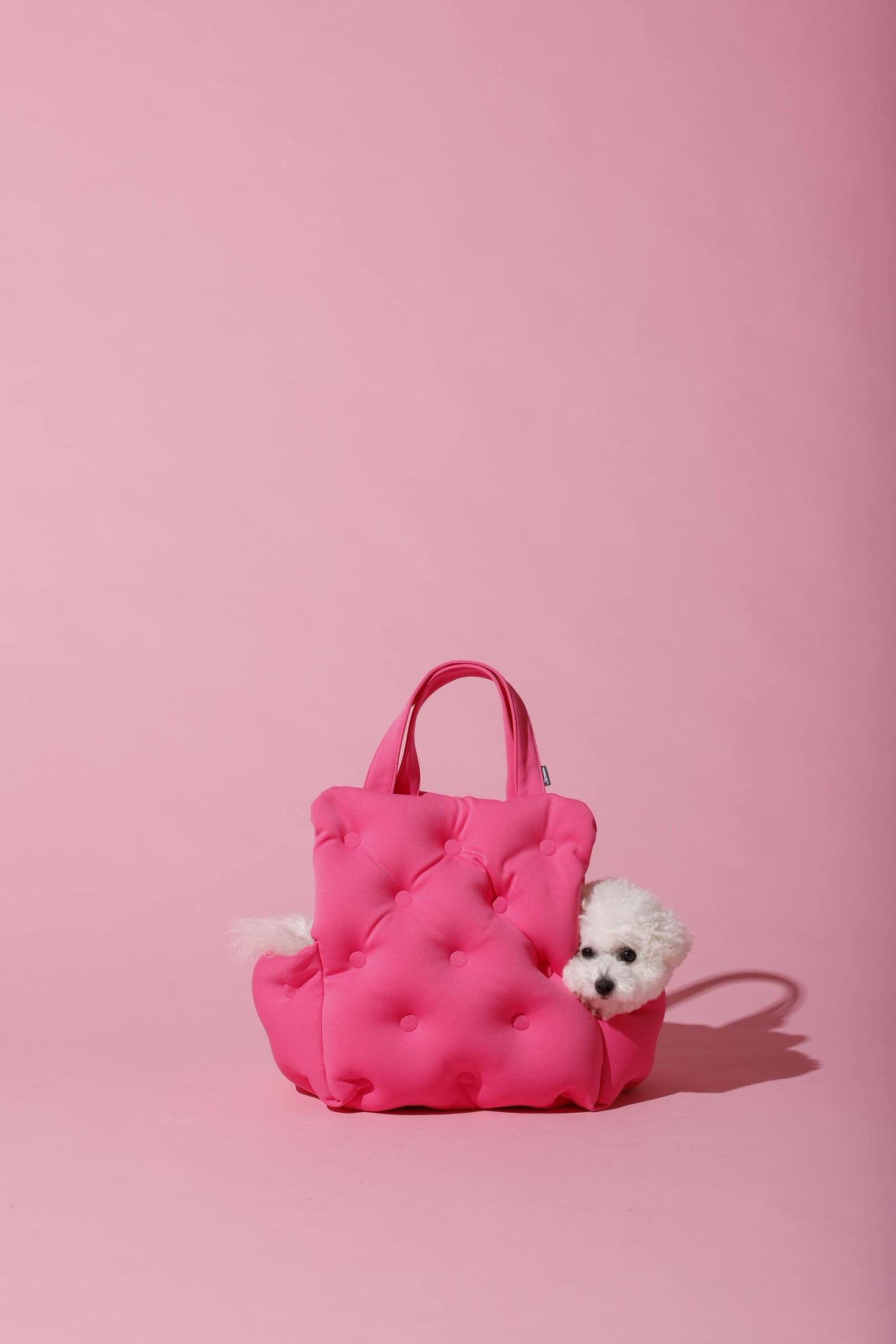 phasefree キャリー＆ベッド ビビット