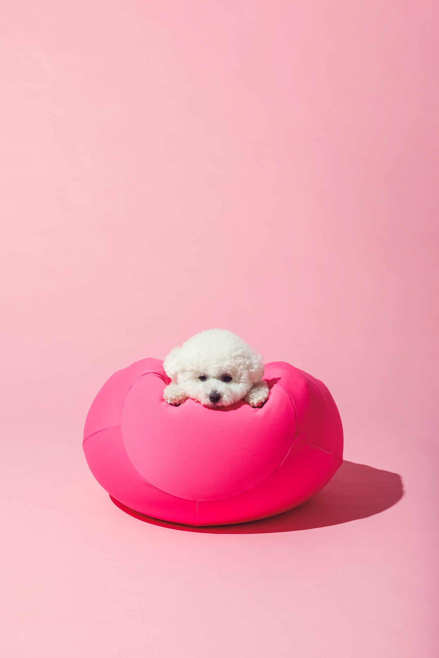 ビビットカラー ビーズバッグクッション