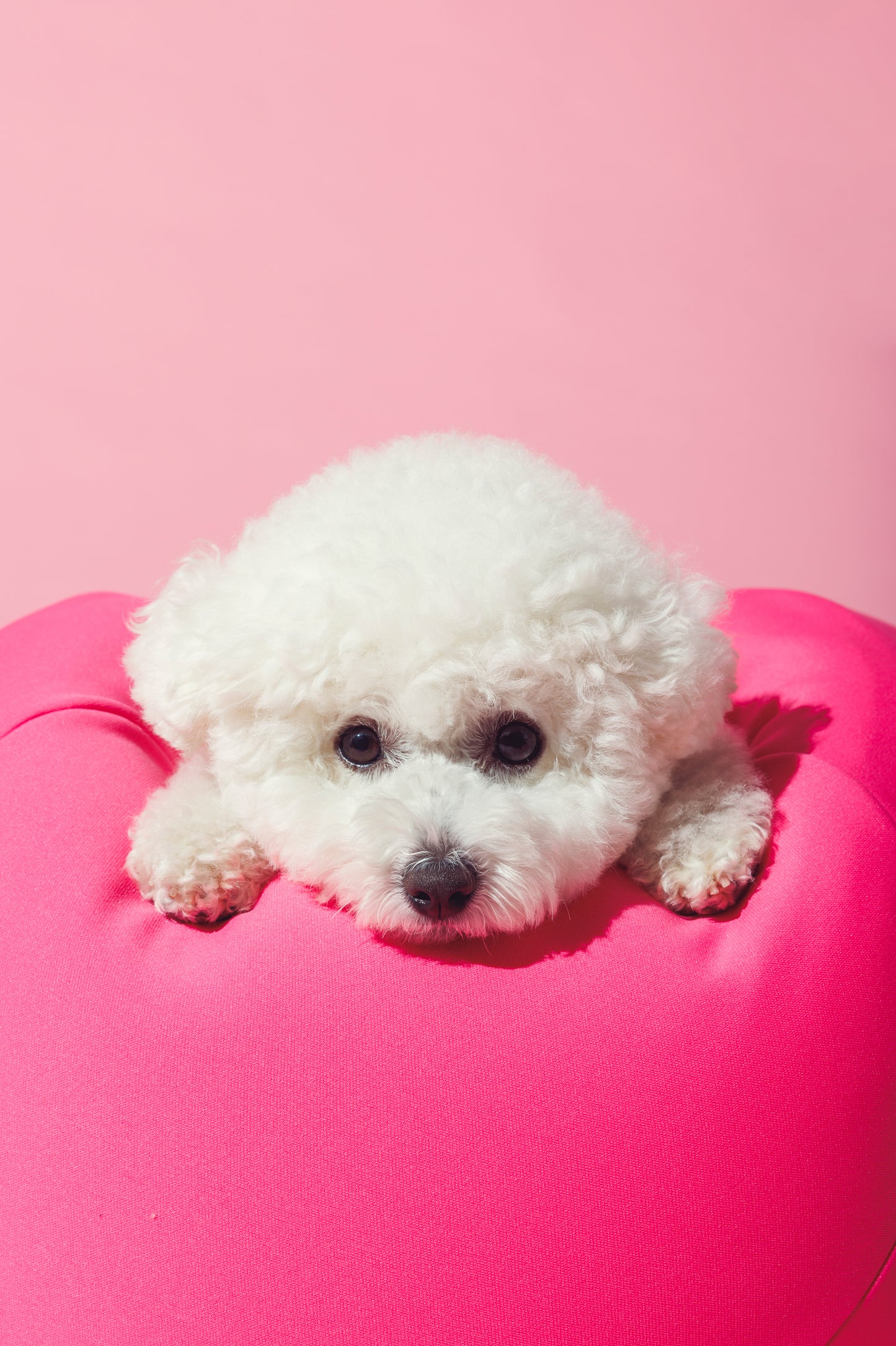 ビビットカラー ビーズバッグクッション