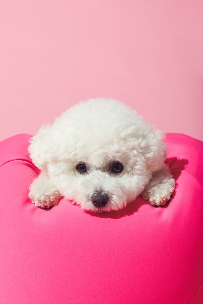 ビビットカラー ビーズバッグクッション