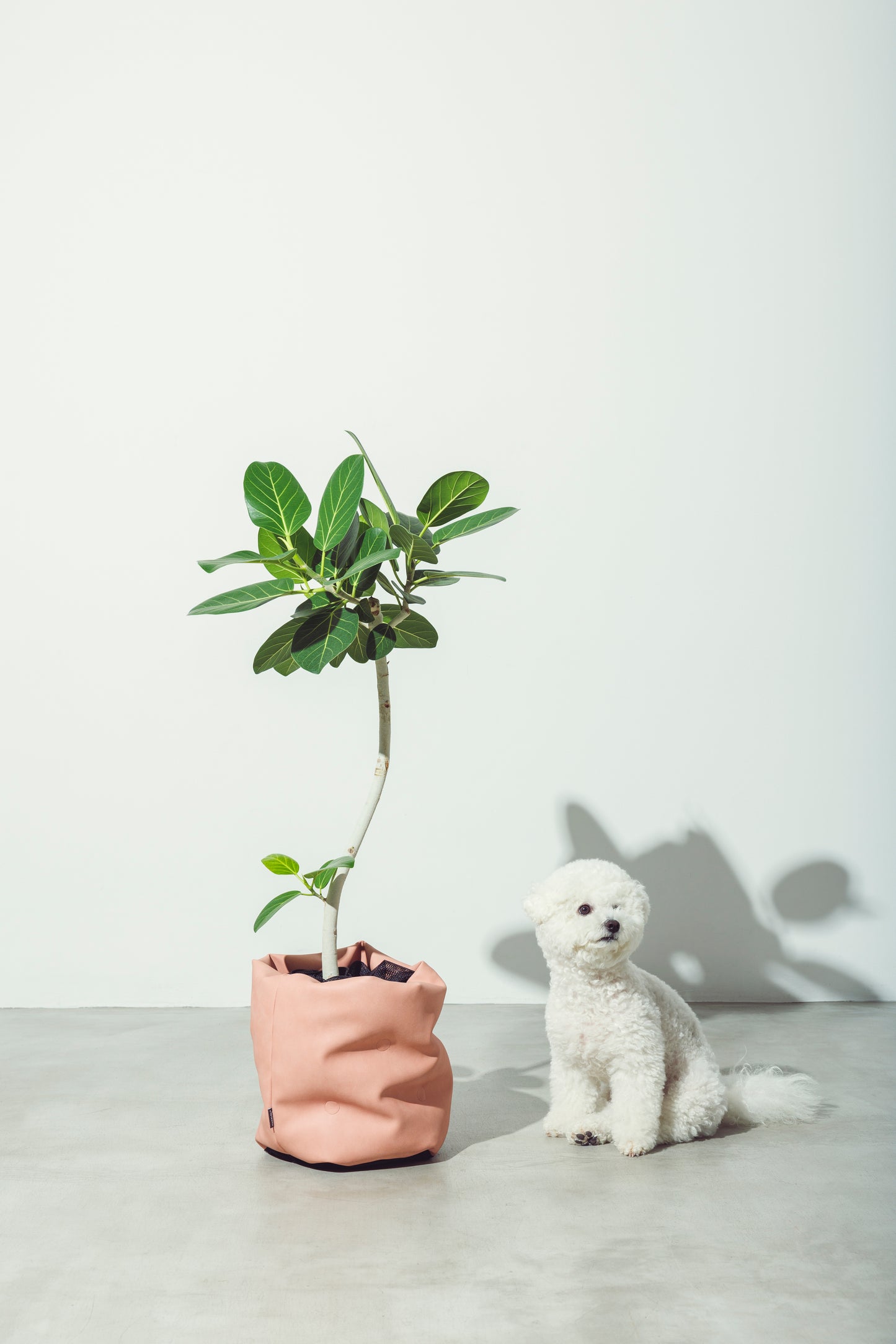 プレミアムレザー 鉢カバー