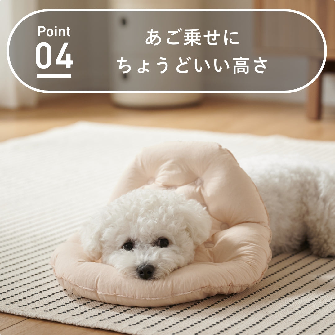 エリザベスカラー　撥水タイプ